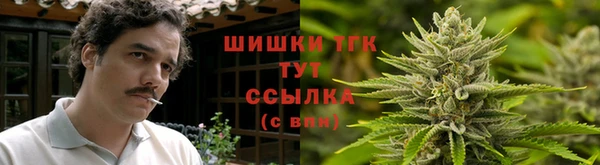 ПСИЛОЦИБИНОВЫЕ ГРИБЫ Алексин